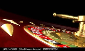 九球直播nba小仙兒